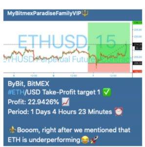 bitmex profit