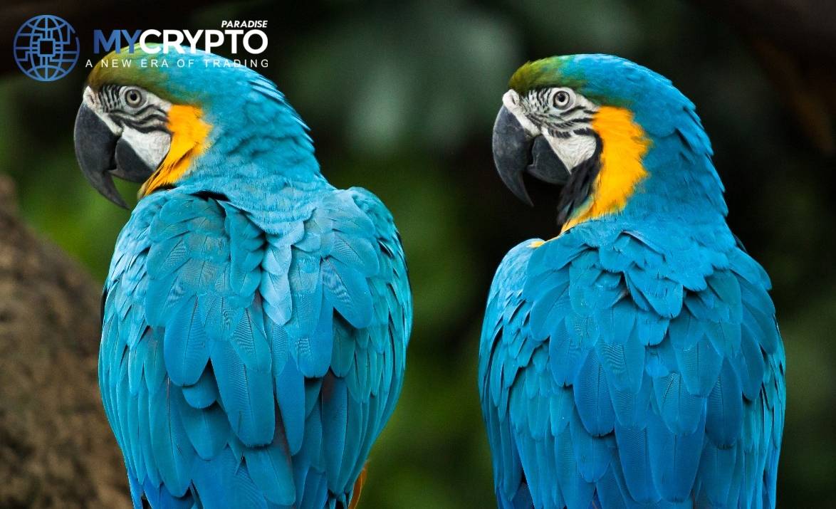 Ripple Renames PayID Trademark