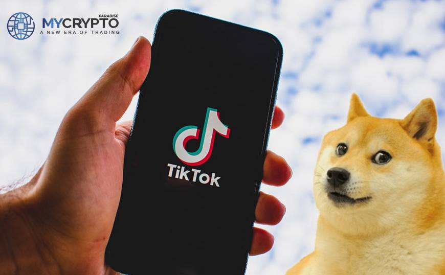 TikTok & Co Go continue to pump rallying Altcoins once again