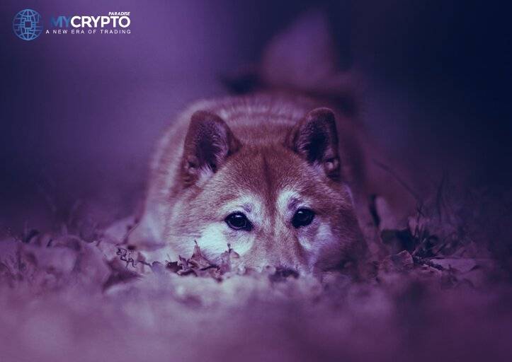 SHIB is ‘Super High Risk’