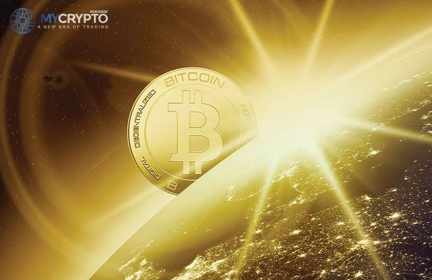 Crypto Treasury Report