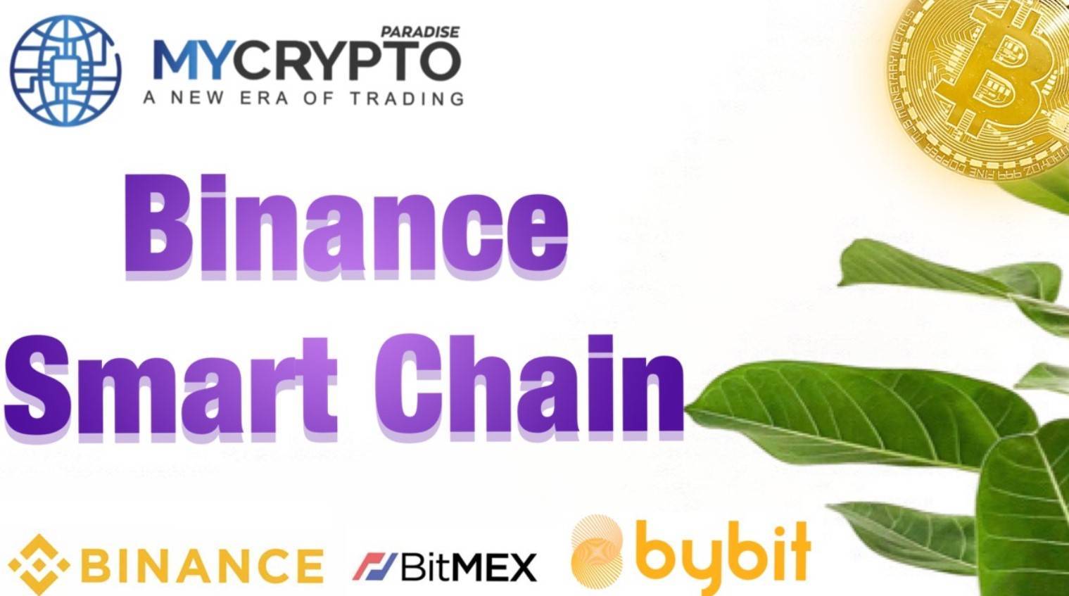 binance smart chain