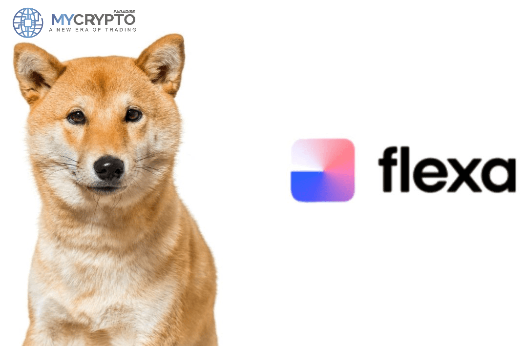 Meme Coin Shiba Inu