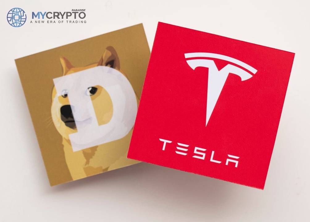 Tesla's DOGE Payments