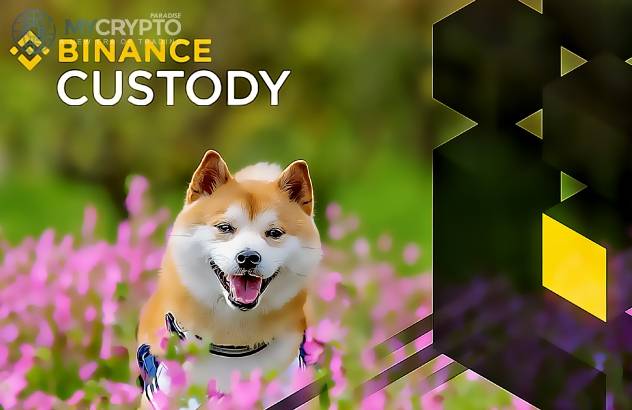 Dogecoin killer Shiba Inu