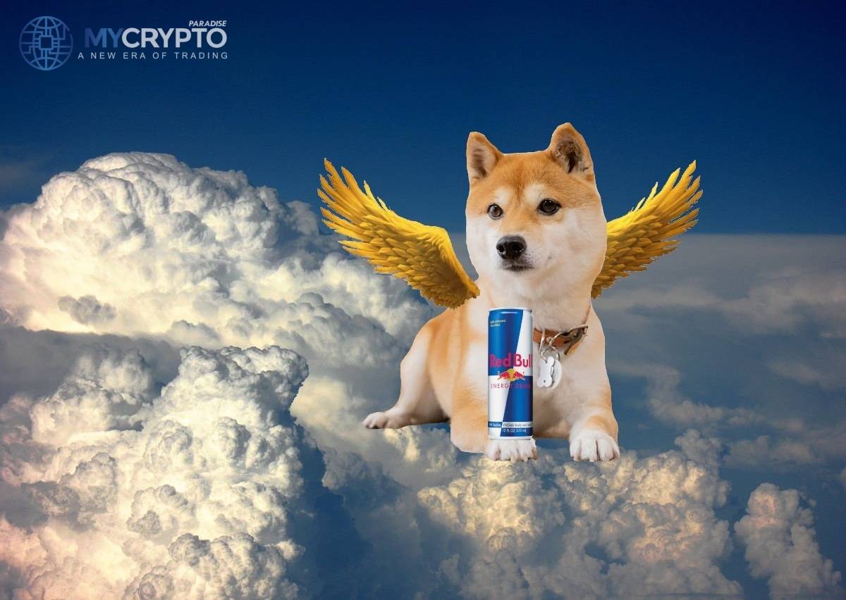 restaurants have now accepted Shiba Inu