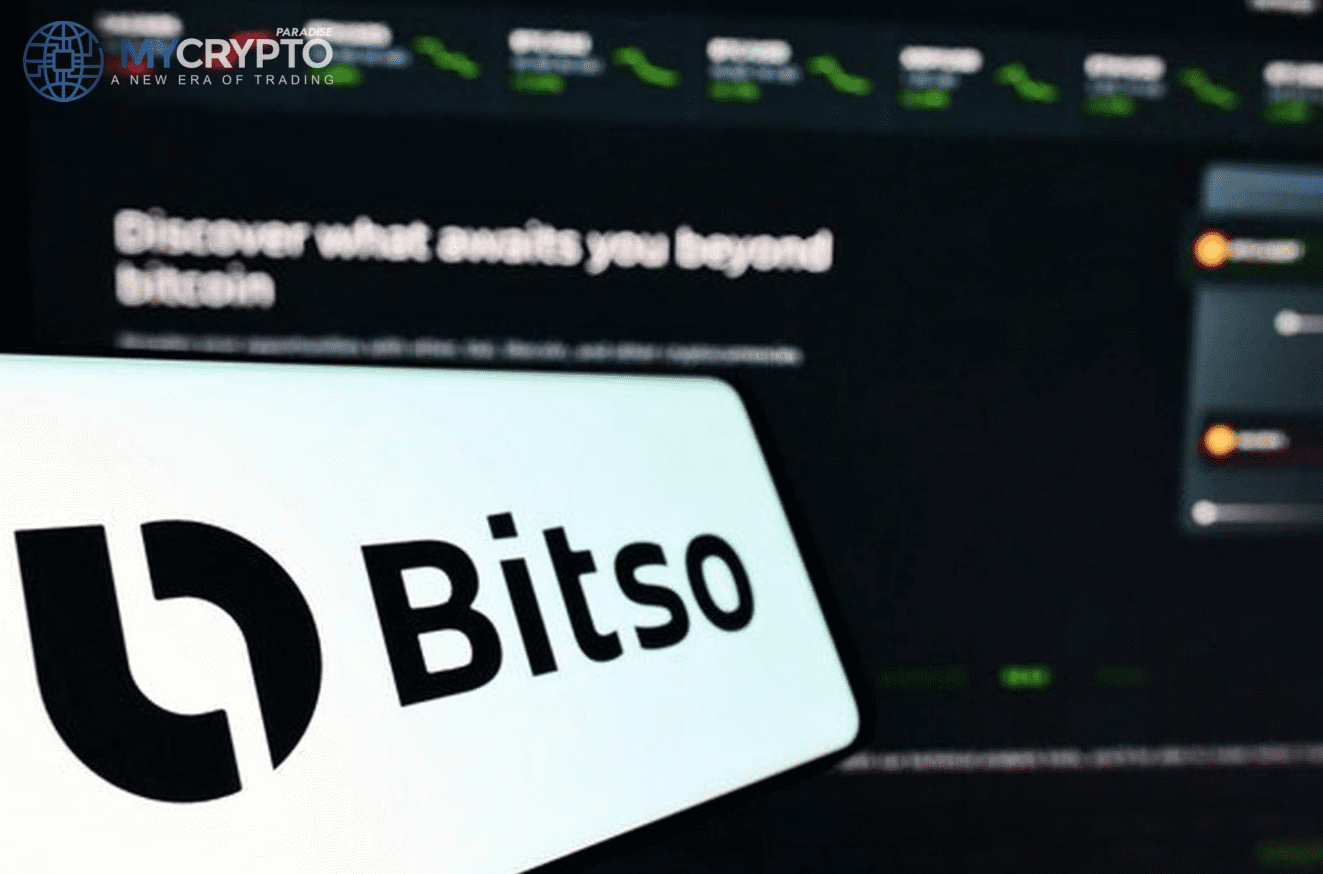 Crypto Winter layoffs