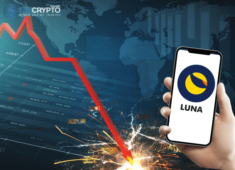 Terraform Labs Fraud Accusations