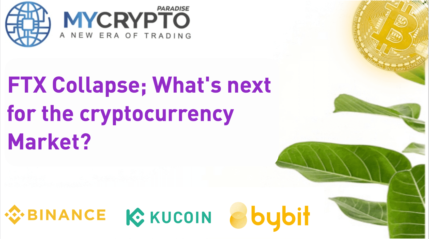 FTX Collapse; What’s next for the cryptocurrency Market?