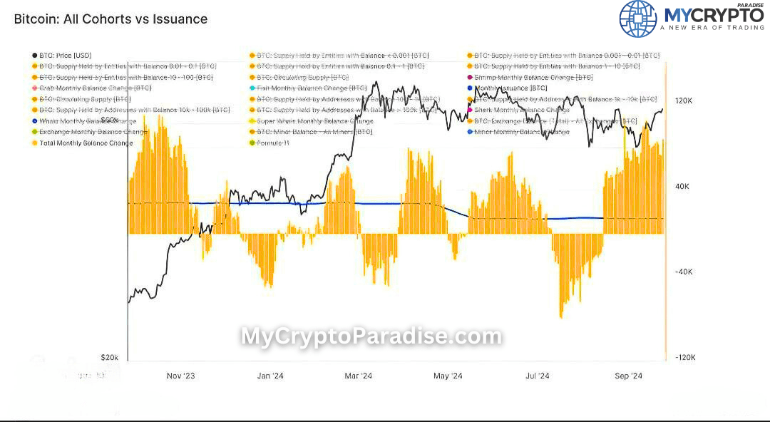 Bitcoin Accumulation