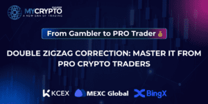 Double Zigzag Correction