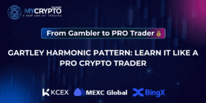 Gartley Harmonic Pattern