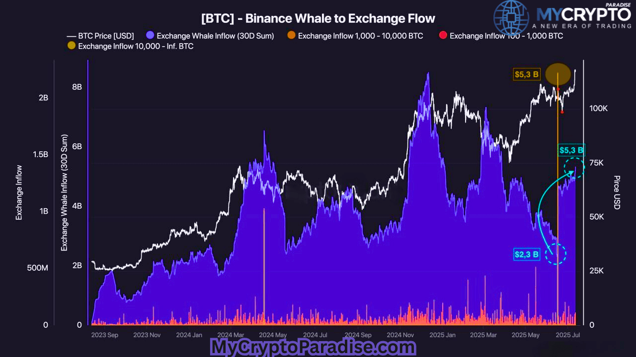 Binance Whales