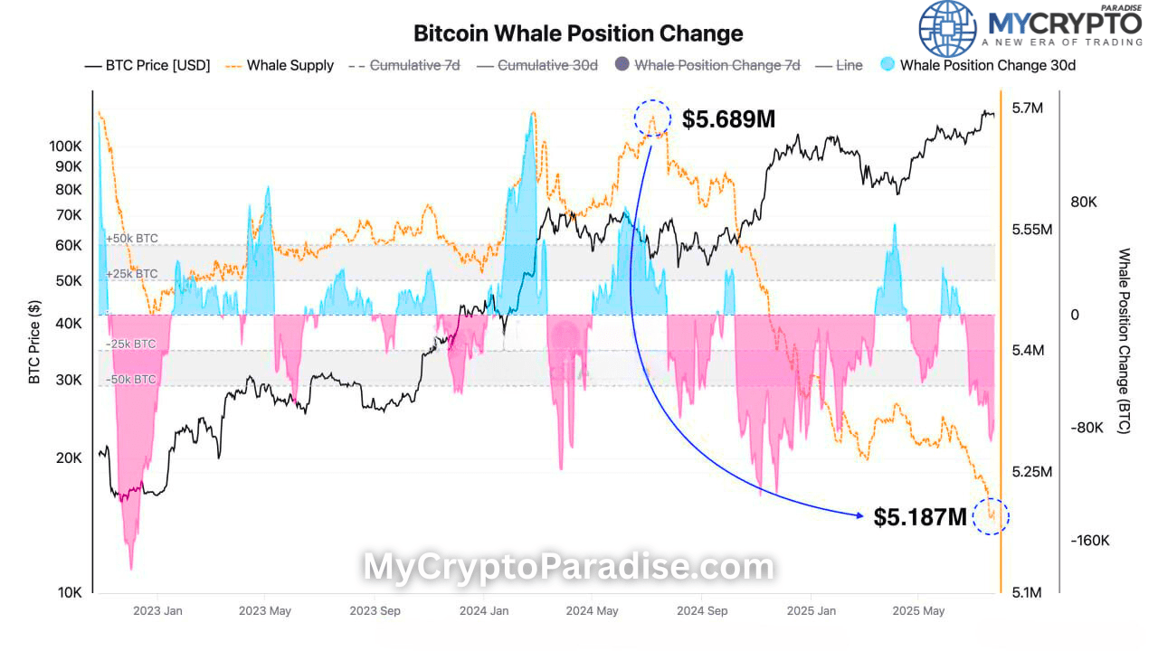 Bitcoin Whales