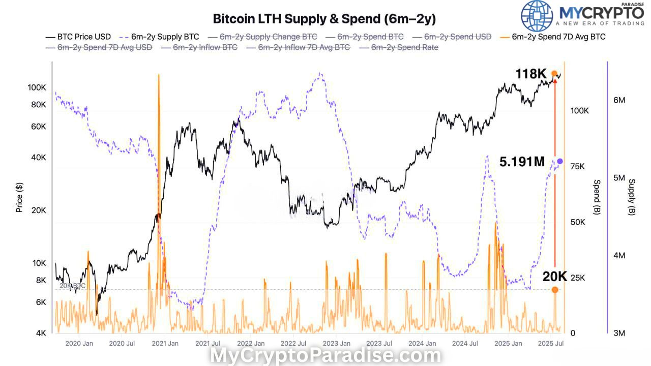 Bitcoin Accumulation