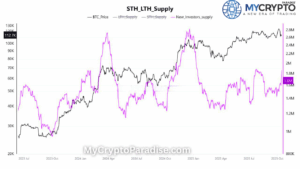 Bitcoin new investors