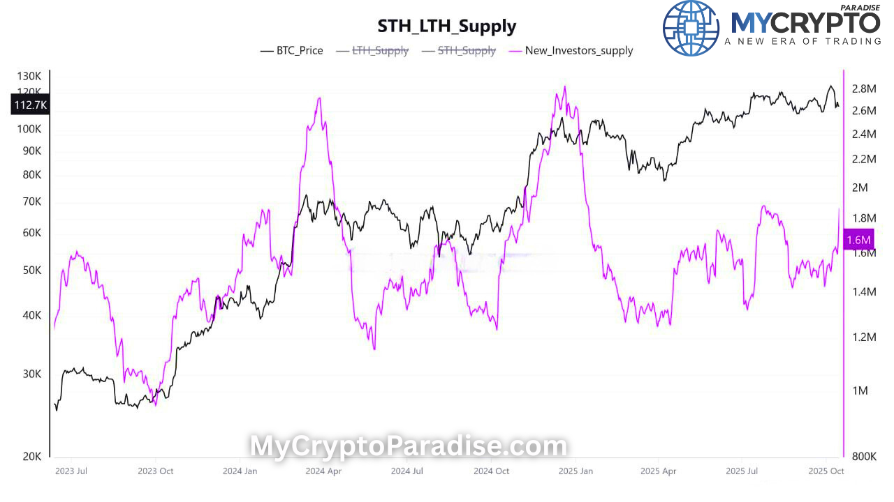 Bitcoin new investors